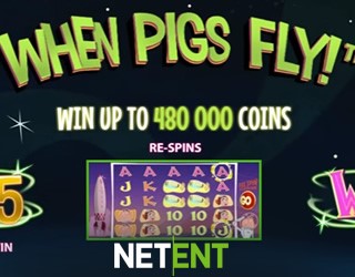 When pigs fly slot game